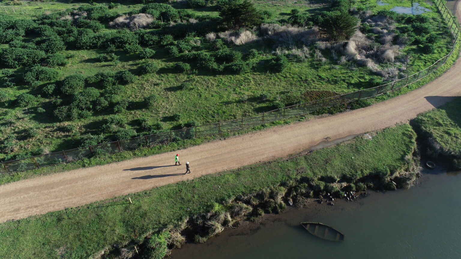 dcim100mediadji 0098.jpg